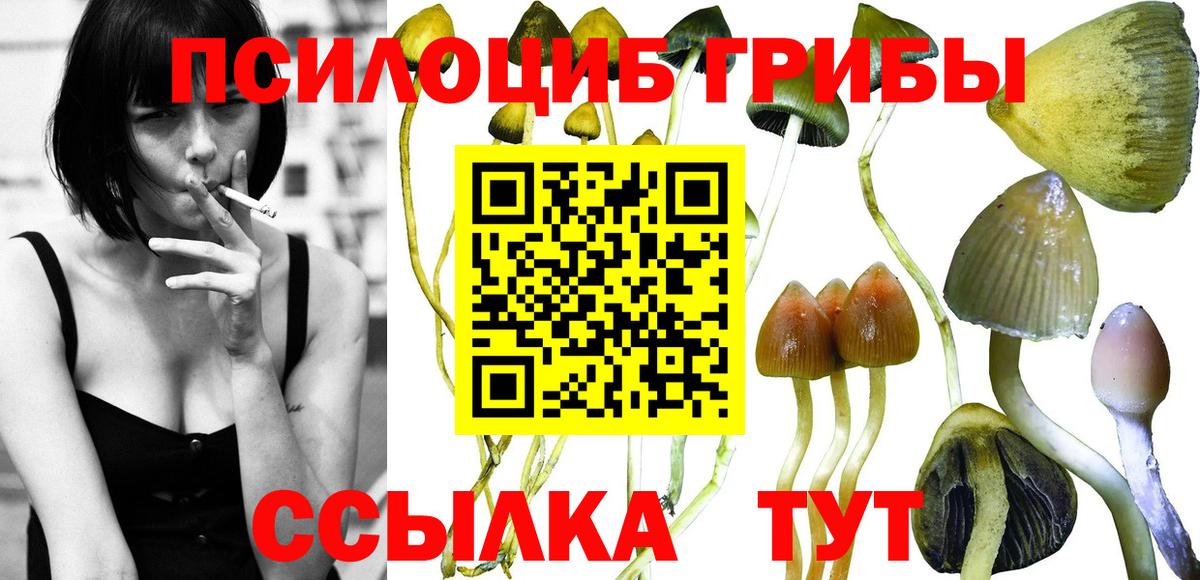 Псилоцибиновые грибы ЛСД  Вход с VPN  Асбест 